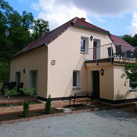 Haus Waldidyll Διαμέρισμα Lauta Εξωτερικό φωτογραφία