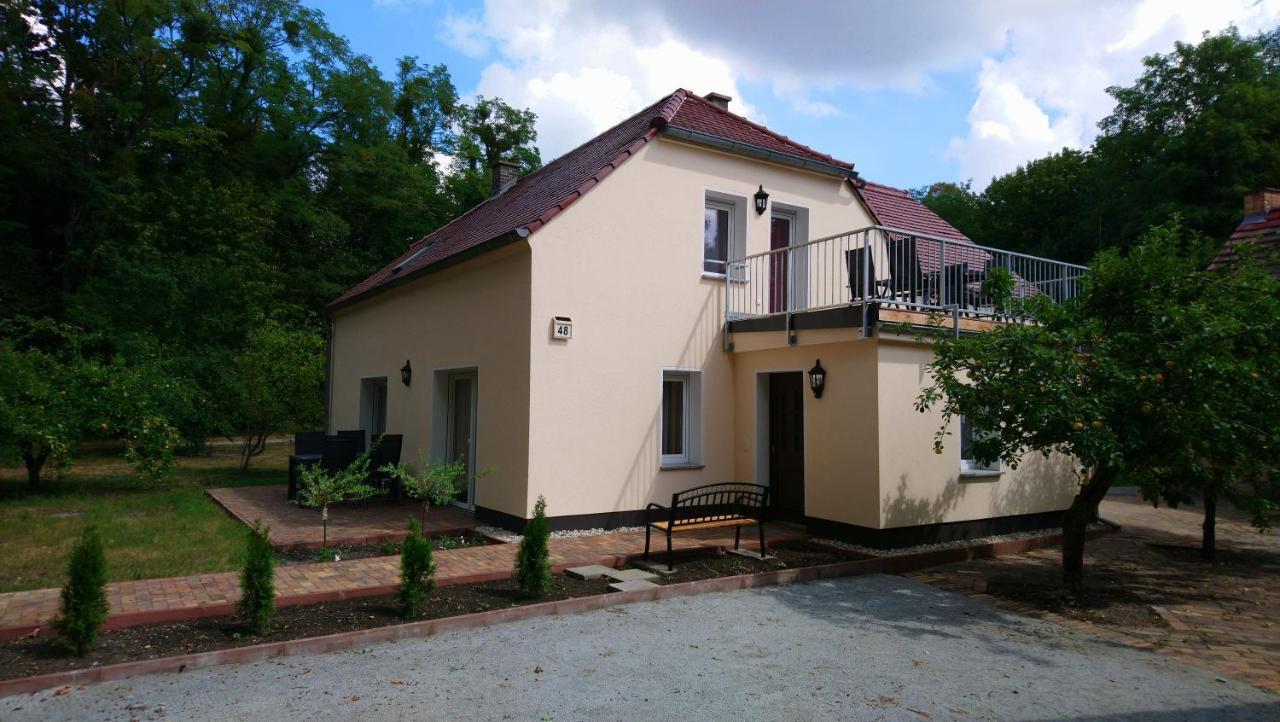 Haus Waldidyll Διαμέρισμα Lauta Εξωτερικό φωτογραφία