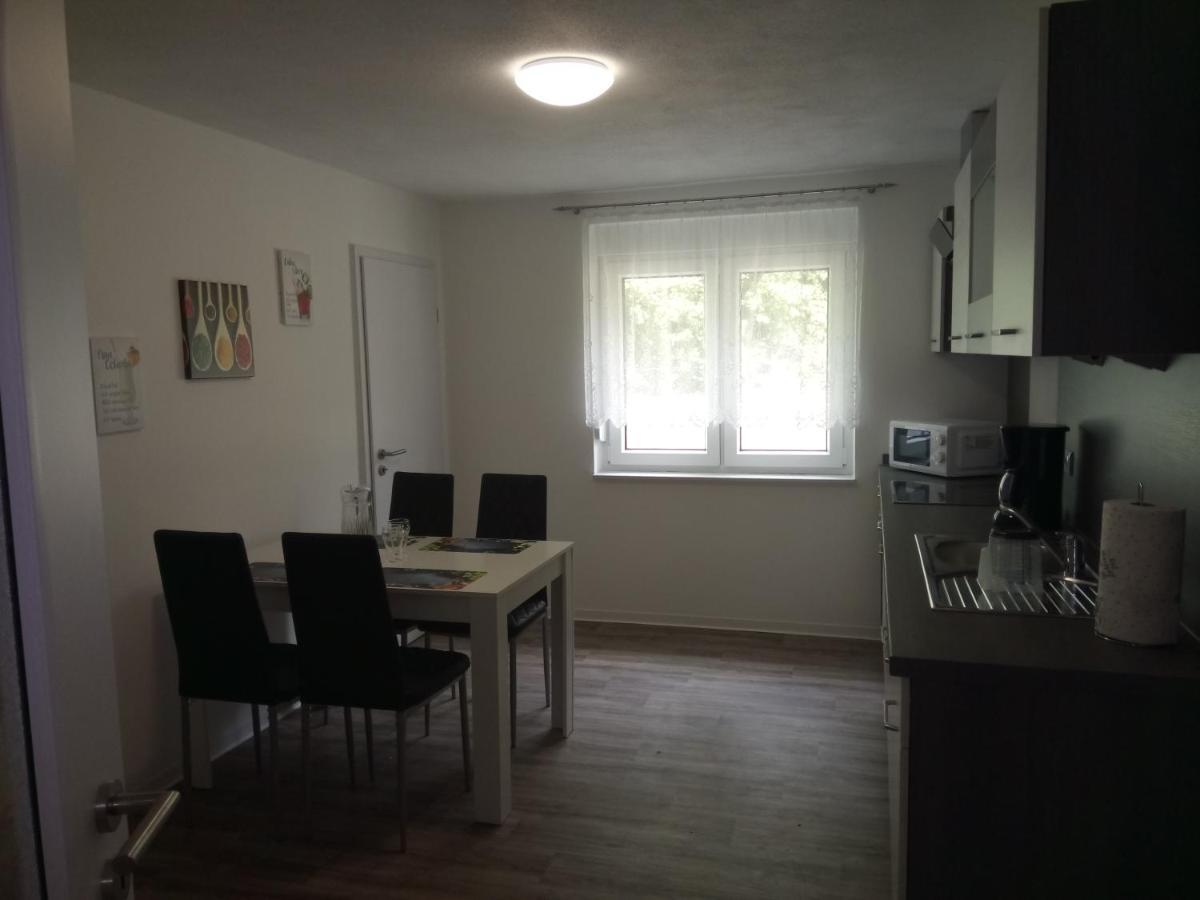 Haus Waldidyll Διαμέρισμα Lauta Εξωτερικό φωτογραφία